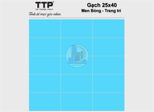 /Uploads/_thumbs/images/gach-vtc-chinh-sua/25x40-men-bong/1.jpg